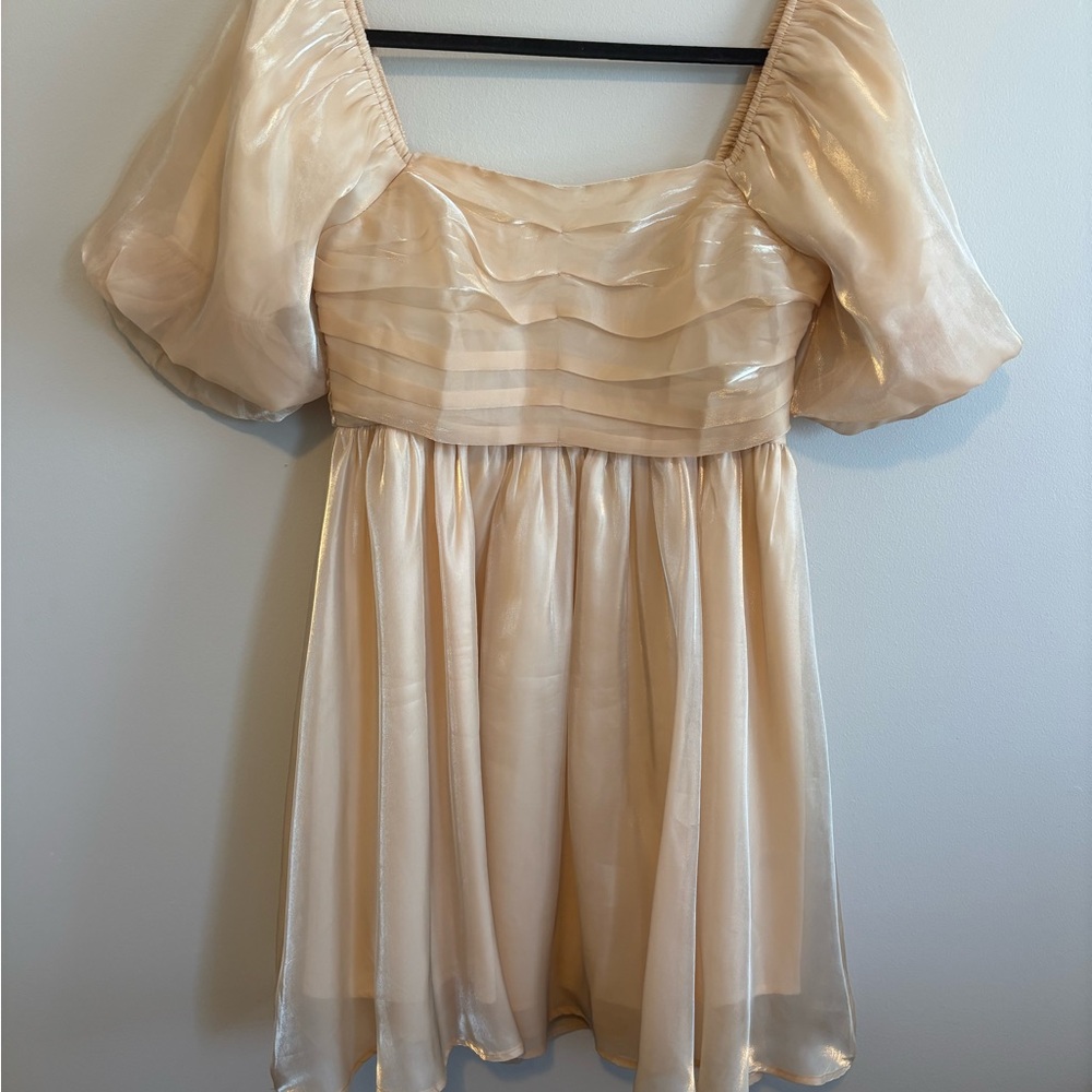 entro Champagne-Blend Sheer Puff Sleeve Mini Dress